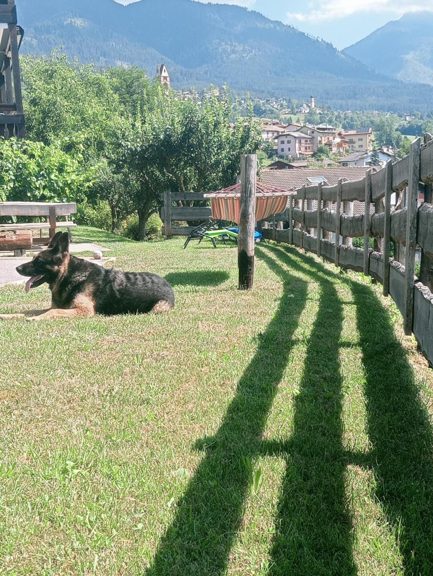 Pozza Appartamenti Carano  Exterior foto